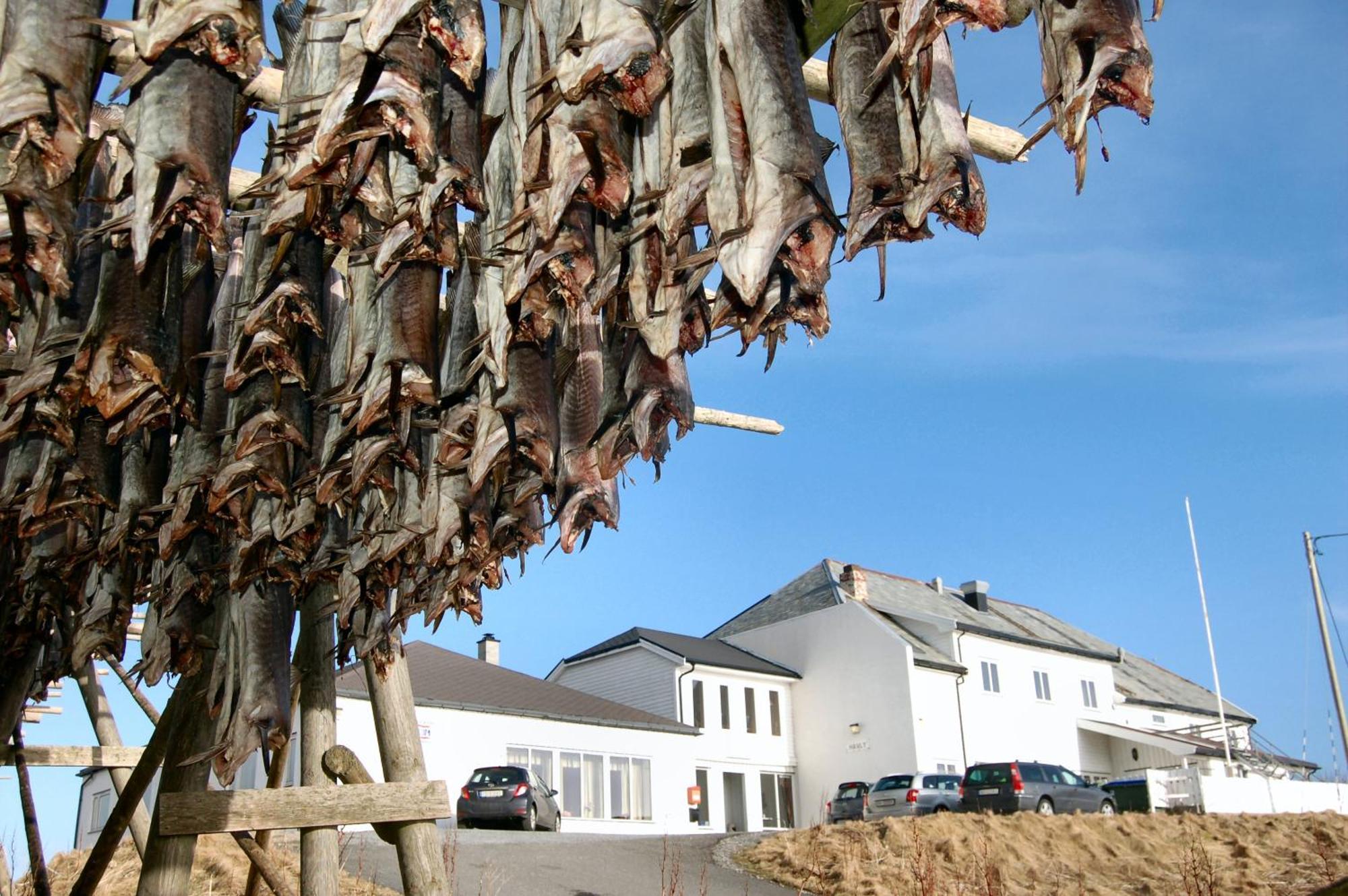 Fiskarheimen Havly, Rost Hotel Buitenkant foto