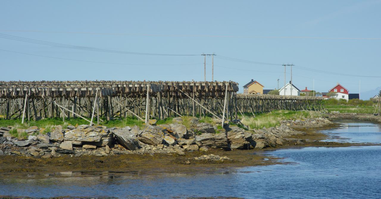 Fiskarheimen Havly, Rost Hotel Buitenkant foto