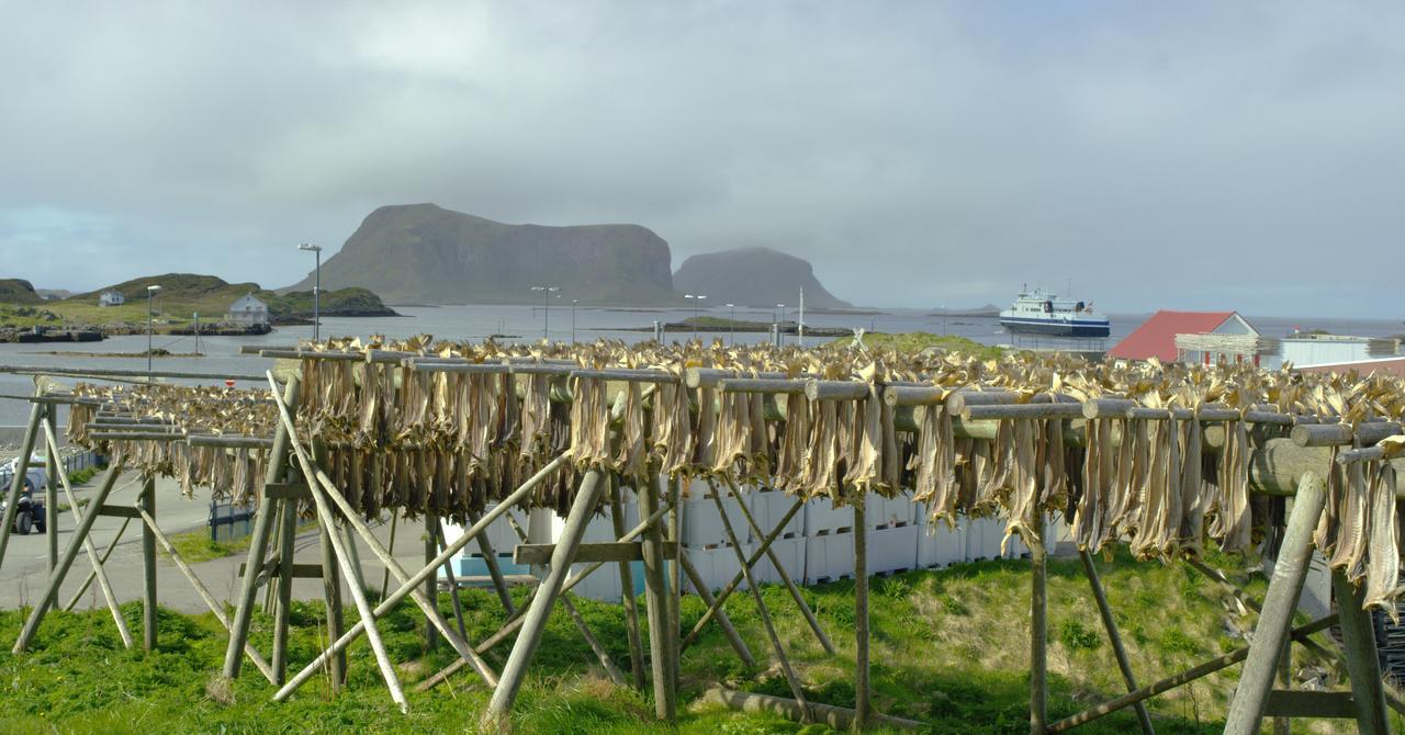 Fiskarheimen Havly, Rost Hotel Buitenkant foto