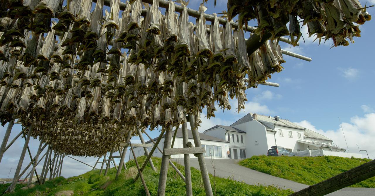 Fiskarheimen Havly, Rost Hotel Buitenkant foto